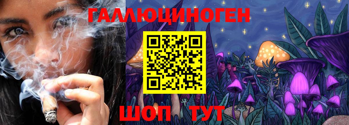 Бийск  Псилоцибиновые грибы мухоморы  Вход с VPN 