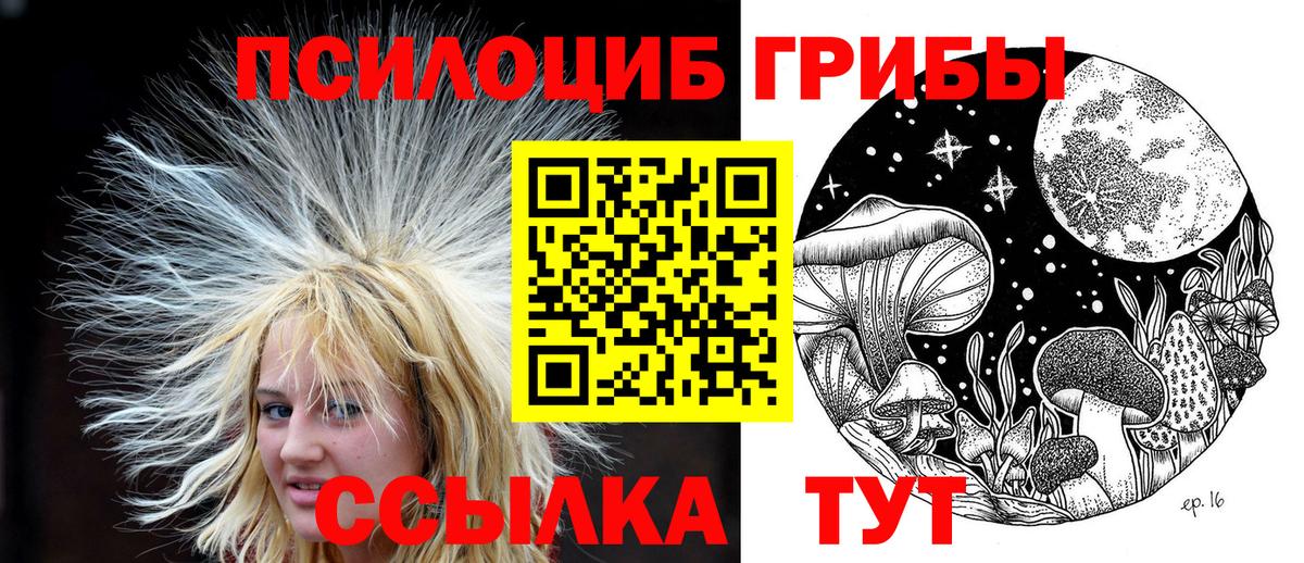 Галлюциногенные грибы Magic Shrooms Бийск